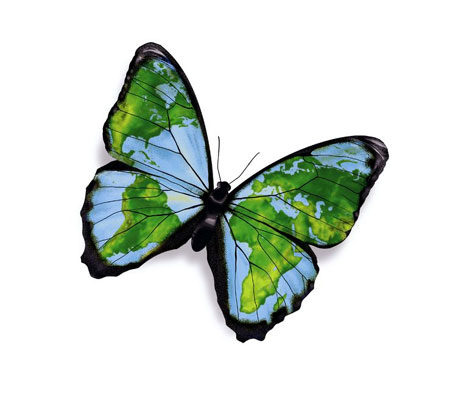 butterfly-world-map